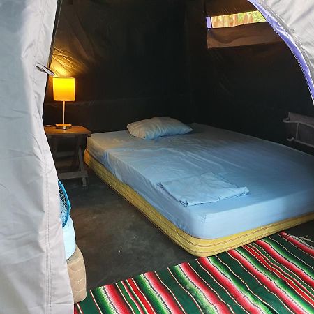 Hotel Camping Del Ritmo & Kite Club à El Cuyo Extérieur photo